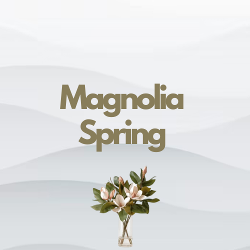 Magnolia Spring